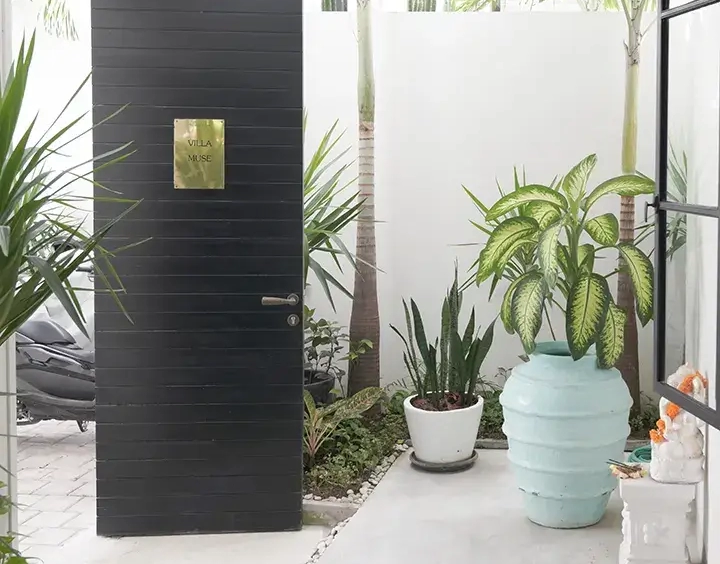 Villa Muse Outdoor View Entrance