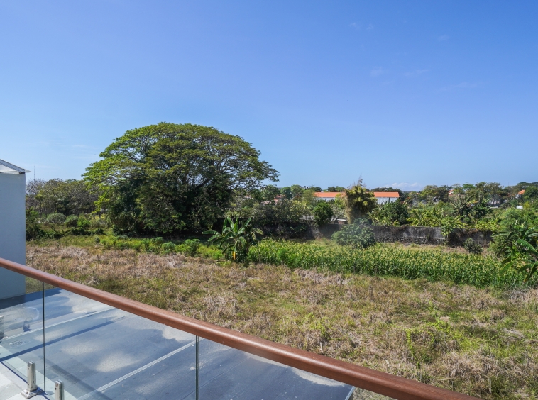 New Sanur Villa with 4 Bedrooms and Green View - View