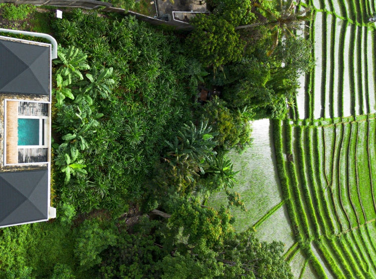 Ready, 2-Bedroom Villa with Stunning Green Views - Ricefield View