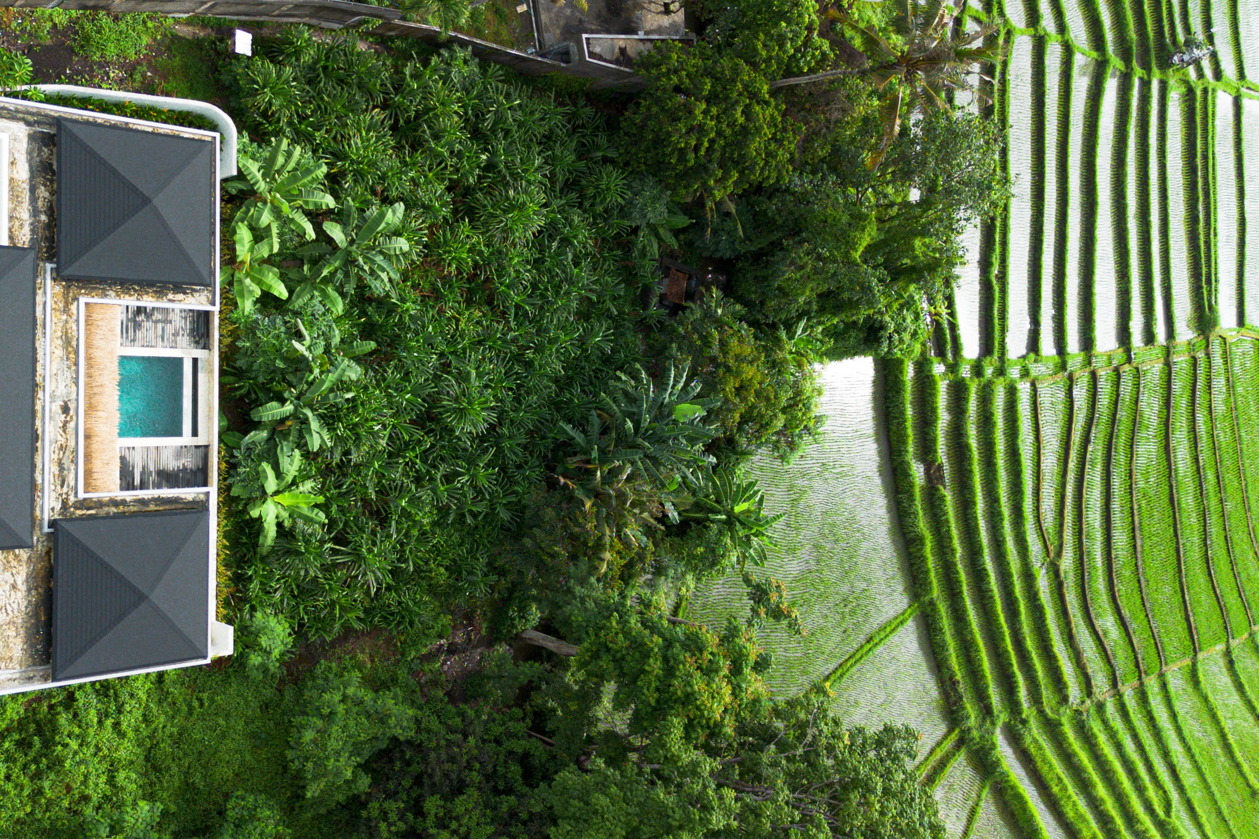 Ready, 2-Bedroom Villa with Stunning Green Views - Ricefield View