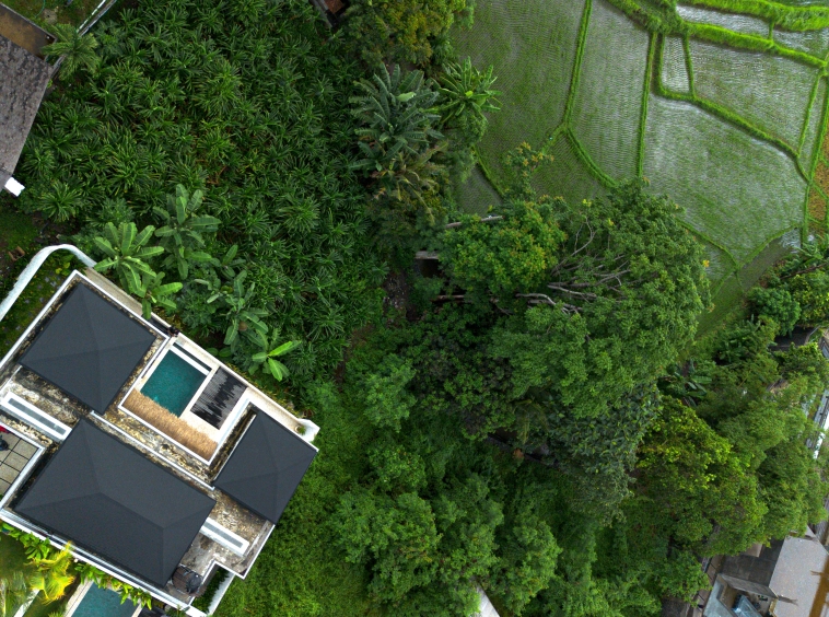 Ready, 2-Bedroom Villa with Stunning Green Views - View