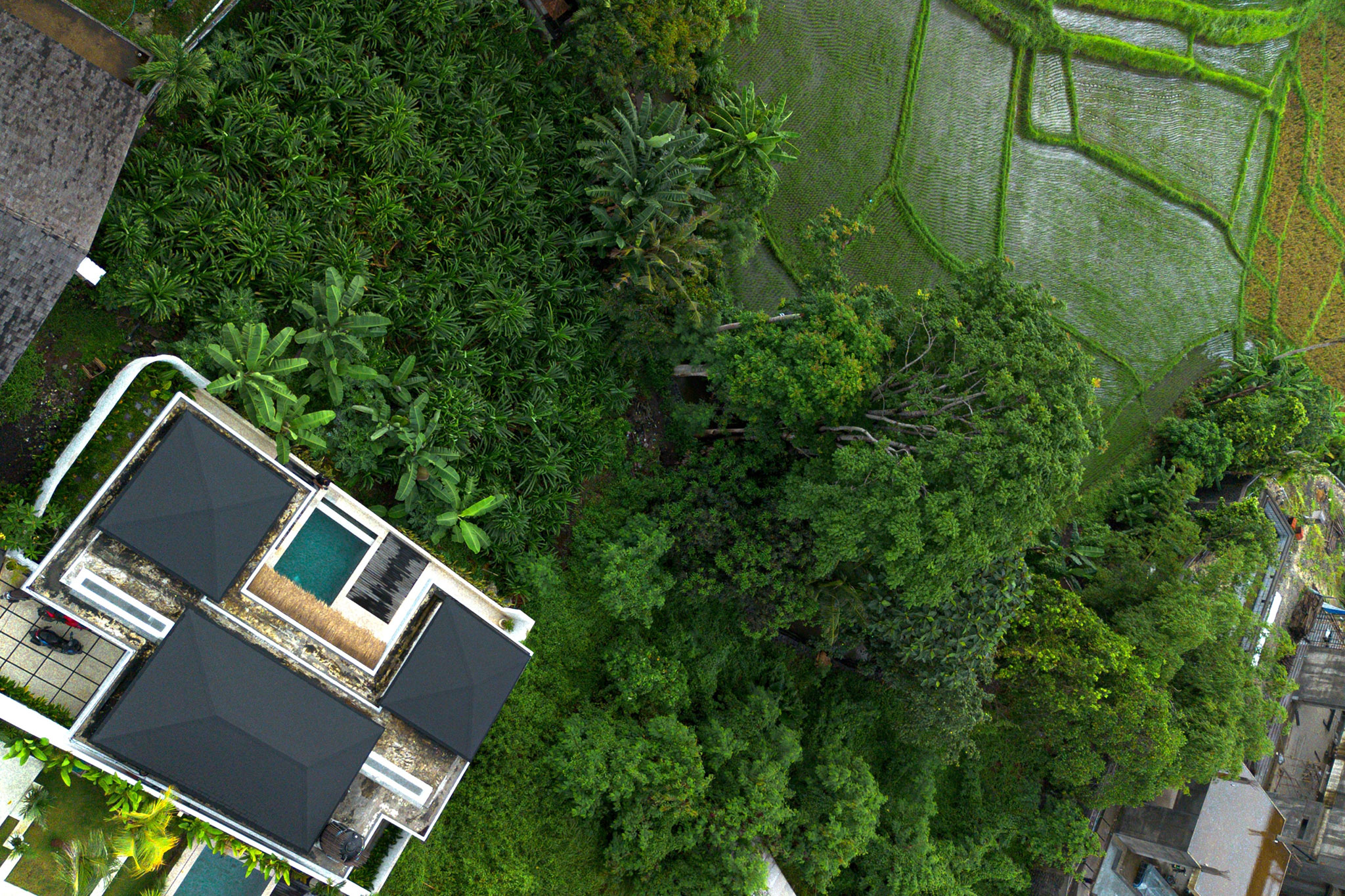 Ready, 2-Bedroom Villa with Stunning Green Views - View