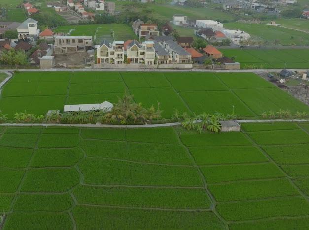 Modern Villa with Rice Field View Minutes from the Beach - Rice Field